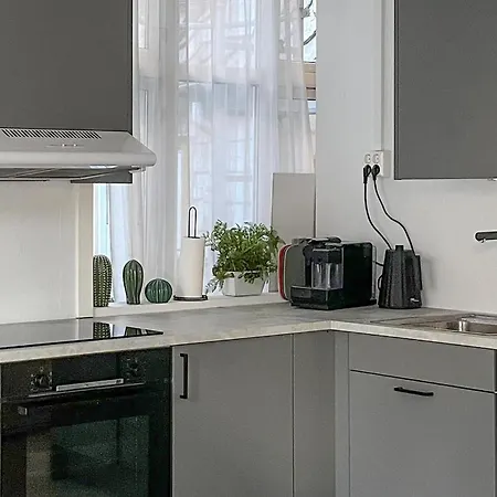 Beautiful In With Kitchen 卑爾根